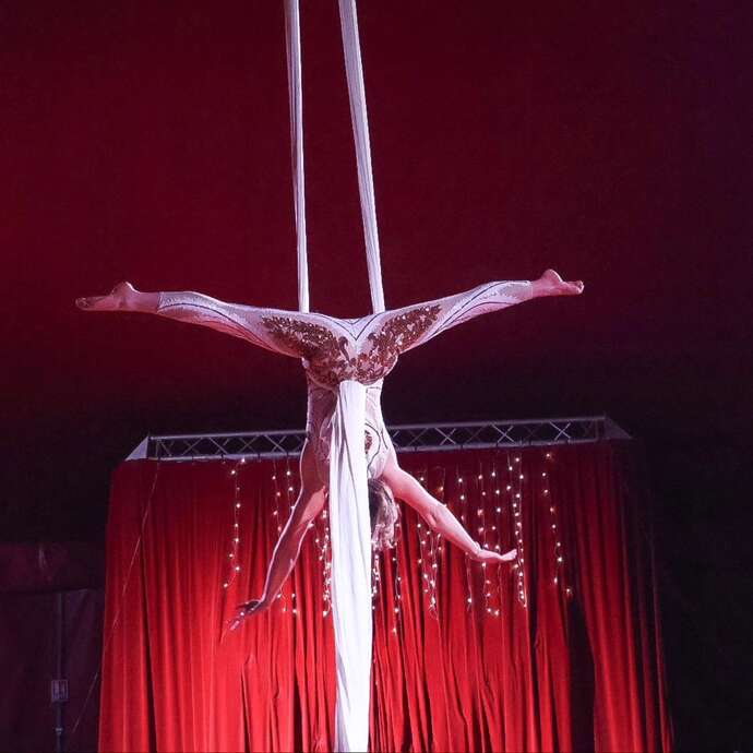 Réveillon Dîner spectacle cabaret