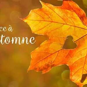 Soirée de l'automne à Kercabiron