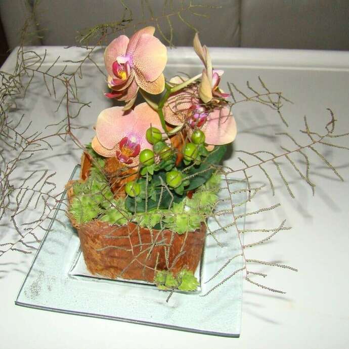 "Mardis de Pays " Atelier art floral