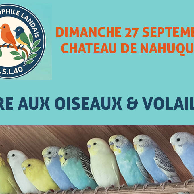 Foire aux oiseaux & volailles