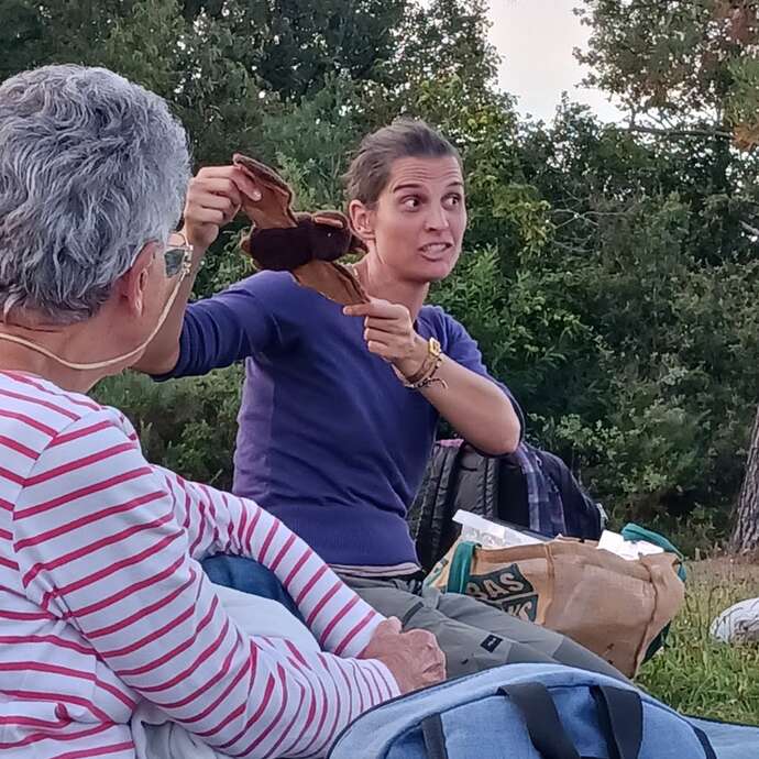Veillée "A la rencontre des chauves-souris"