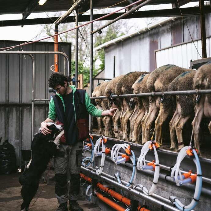 Visites Ferme bio des Folaisons