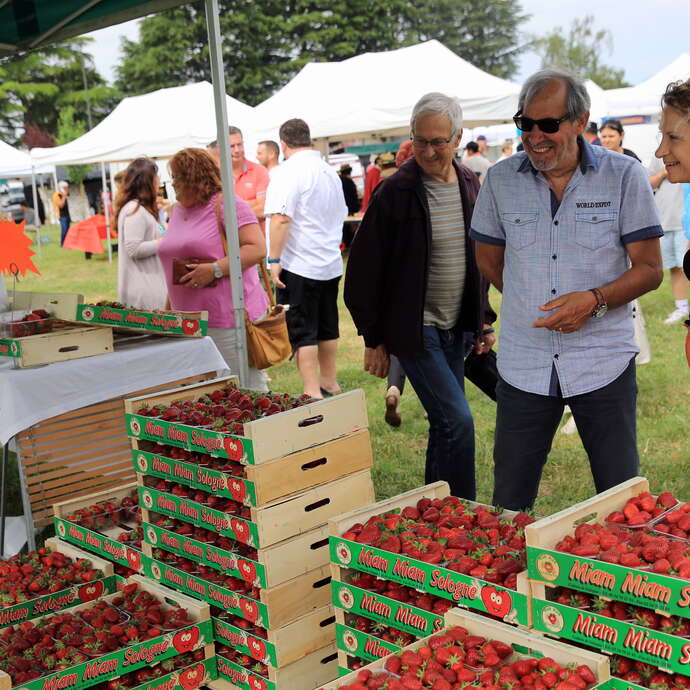 Fête de la Fraise - 4ème édition