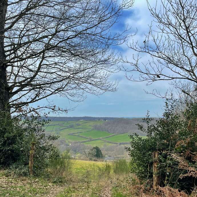 CHEMIN DES CHÉTIFS BOIS (AMSV26)