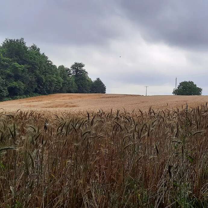 Gravel Nord Découverte