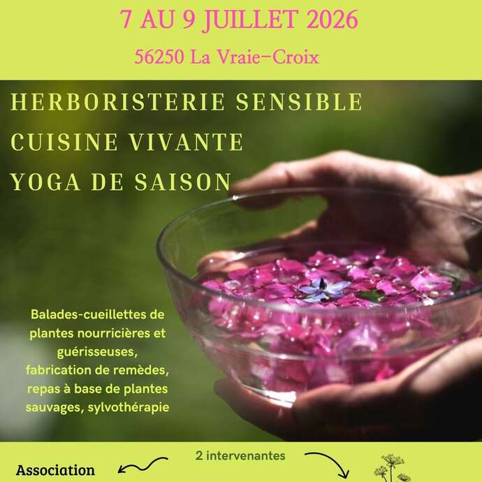 Stage plantes et bien-être