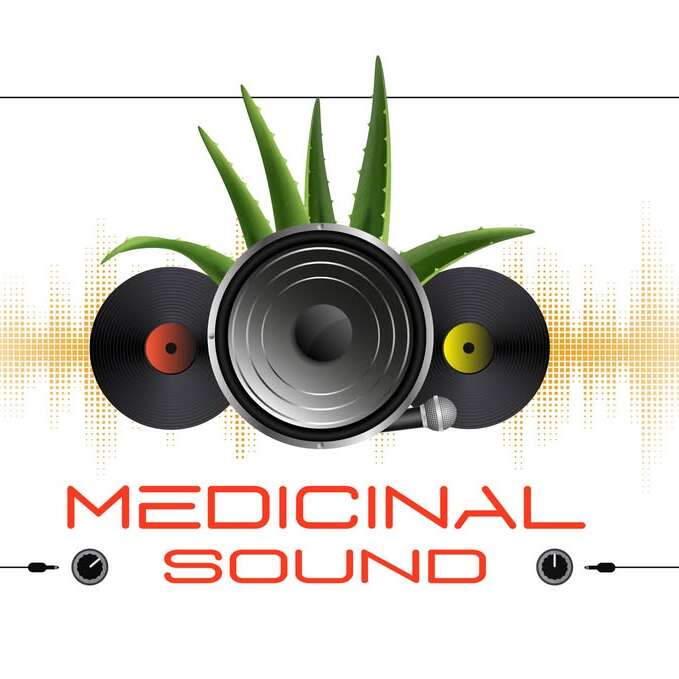 Medicinal Sound à la Guinguette de Kercabiron