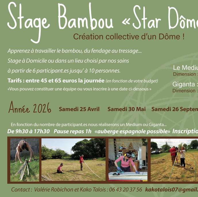 Stage bambou Star Dôme