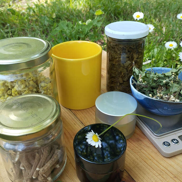 Atelier herboristerie de saison