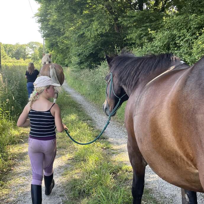 Journée mise en relation avec le cheval et atelier nature
