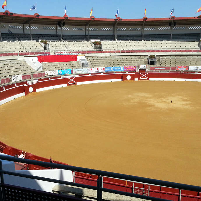 Visite guidée des arènes du Plumaçon