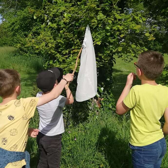 Animation nature "Les p'tits naturalistes"