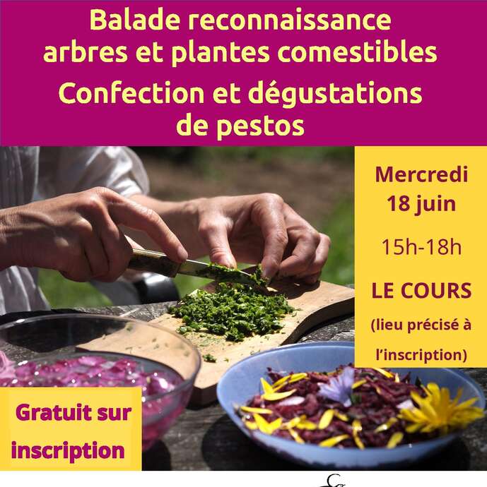 Balade atelier plantes comestibles