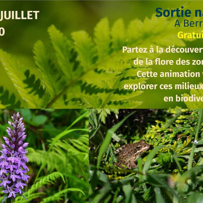 Sortie nature