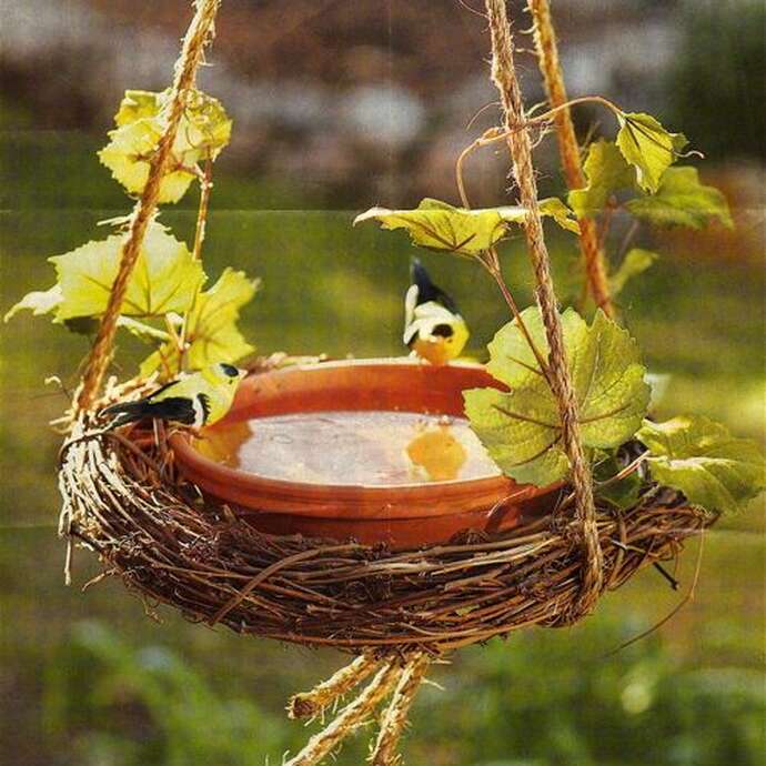 Aménagement et entretien du jardin pour les oiseaux