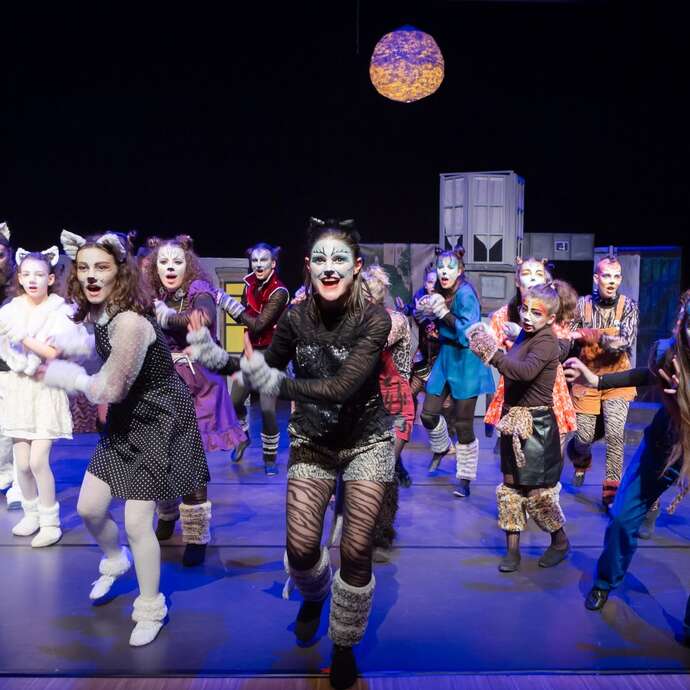 Comédie musicale "Cats"