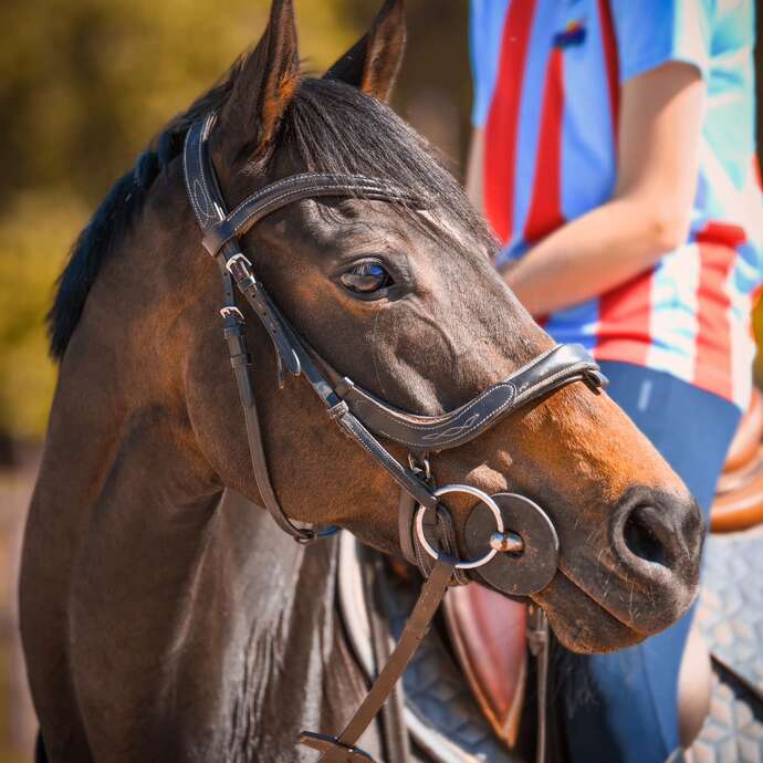 Ecurie landaise de Laugeron