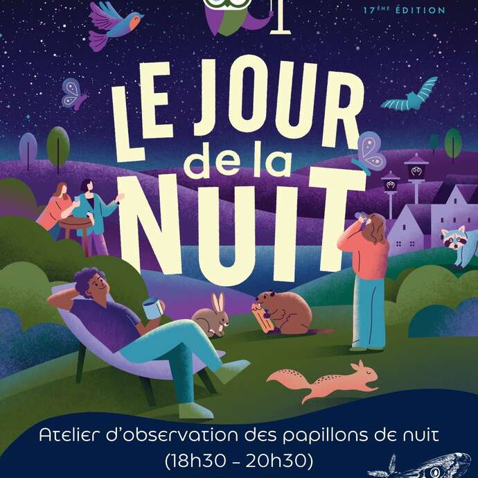 "Le jour de la nuit" : à la rencontre des papillons de nuit