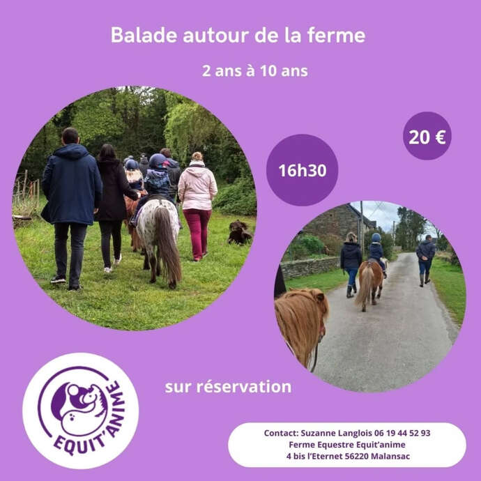 Balades à poney autour de la ferme