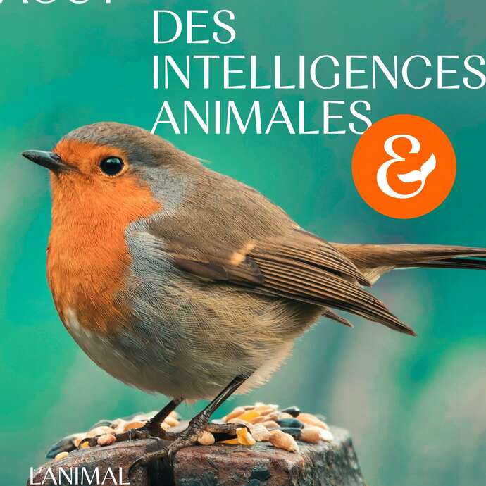 10ème édition des Rencontres des Intelligences Animales