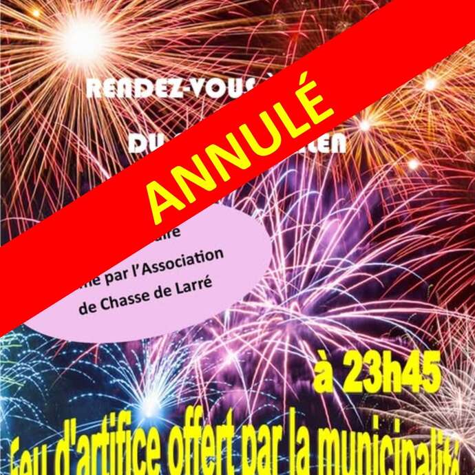 Bal et feu d'artifice - ANNULÉ