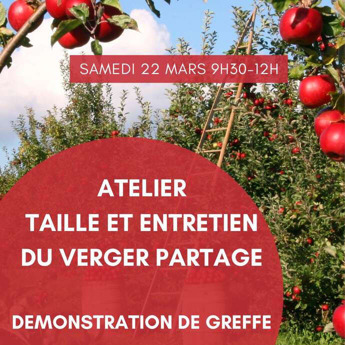 Atelier taille et entretien du verger partagé