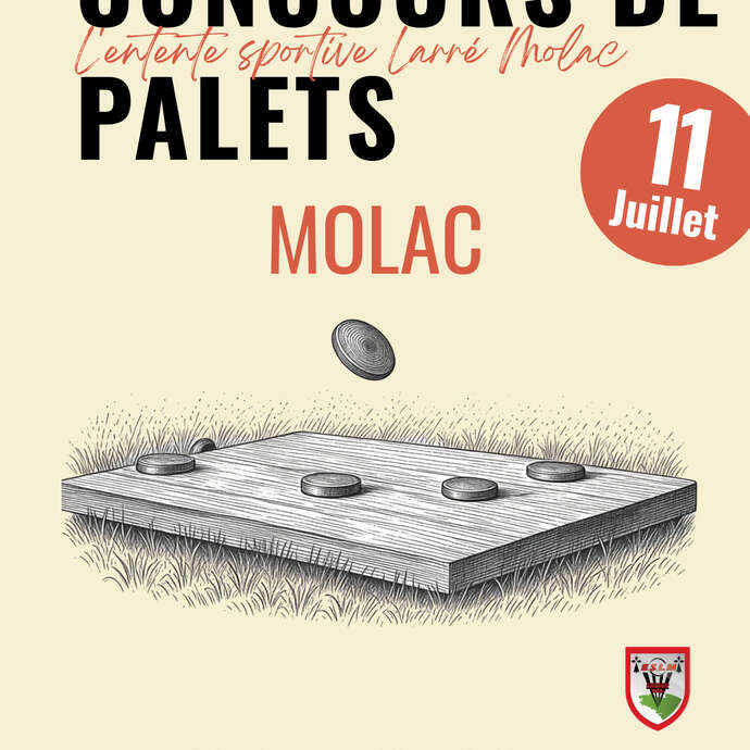 Tournoi de palets
