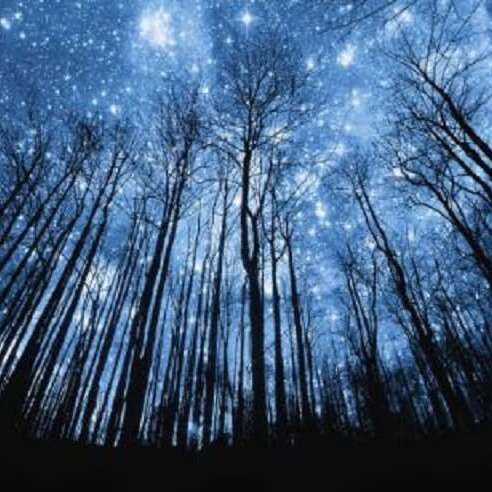 Balade "Nuit des étoiles"
