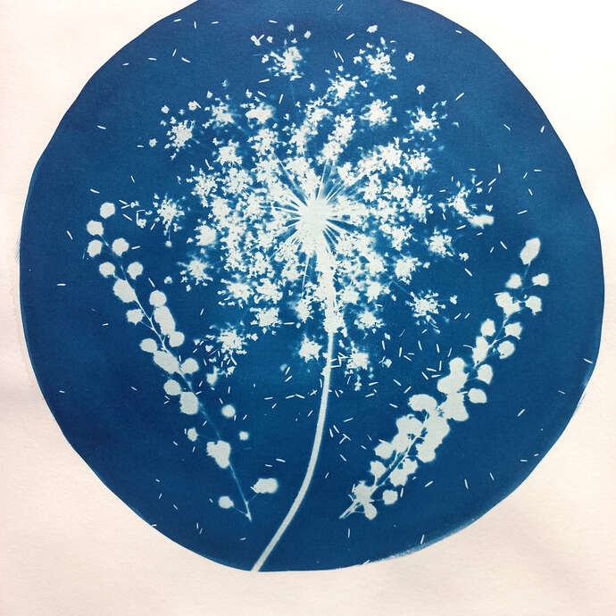 Traversée photographique : Atelier cyanotype