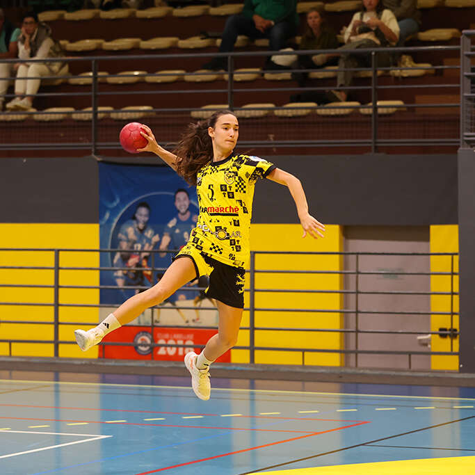 Stade Montois Handball féminin - Tournefeuille