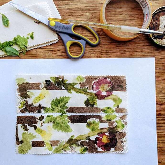 Découverte du Tataki Zomé