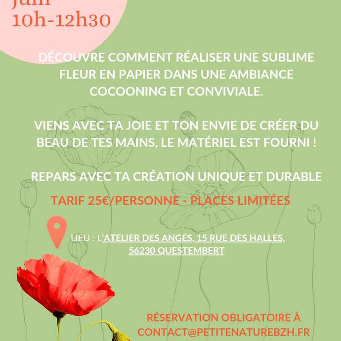 Atelier fleur de coquelicot en papier