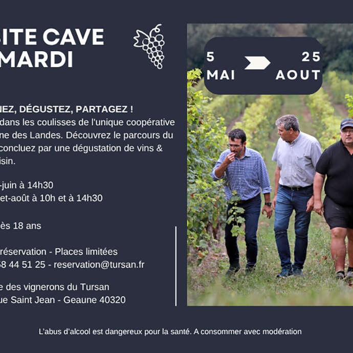 Visite cave le mardi