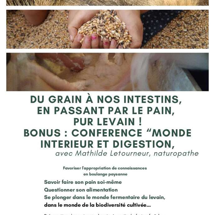 Balade et conférence "le feu digestif"
