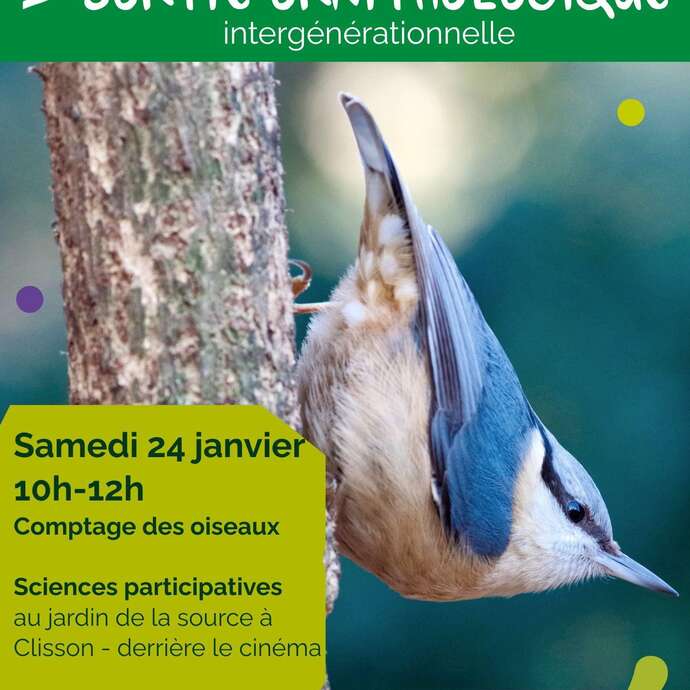 Observation ornithologique au Jardin de la Source