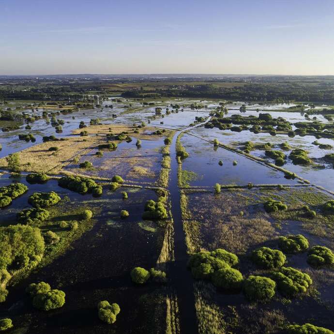 Balade - Vue sur le Marais de Goulaine