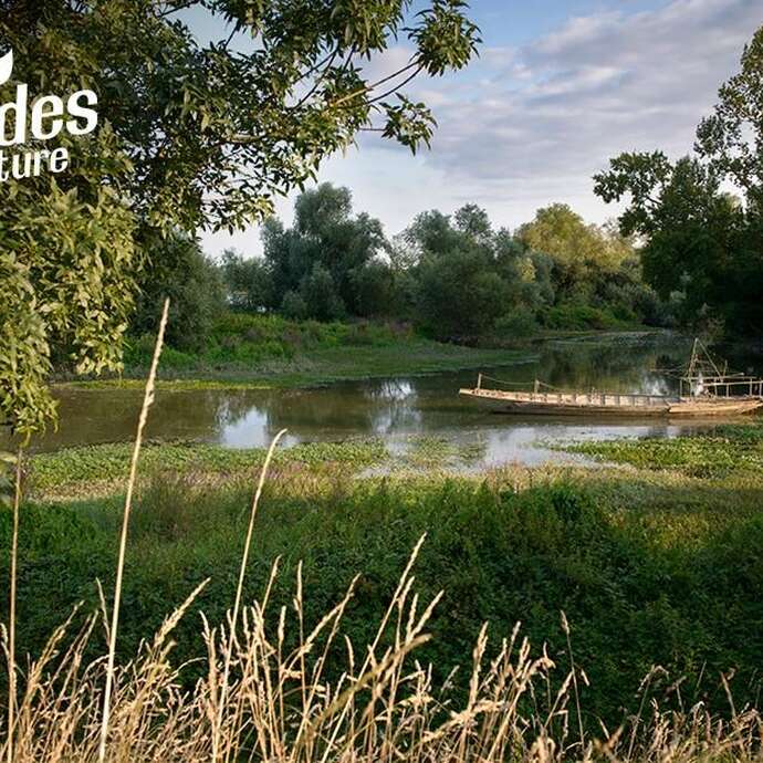 Les oiseaux du Bois de Buis