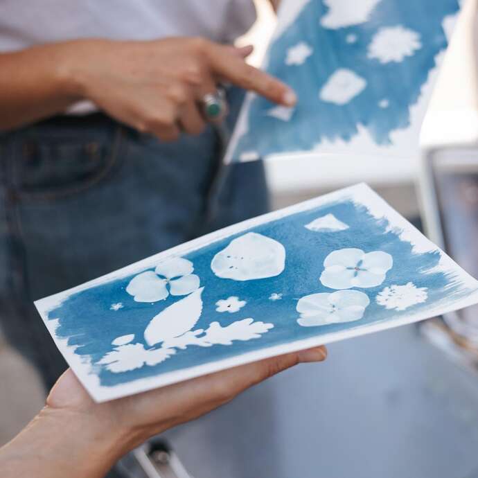 Atelier - L'herbier en cyanotype
