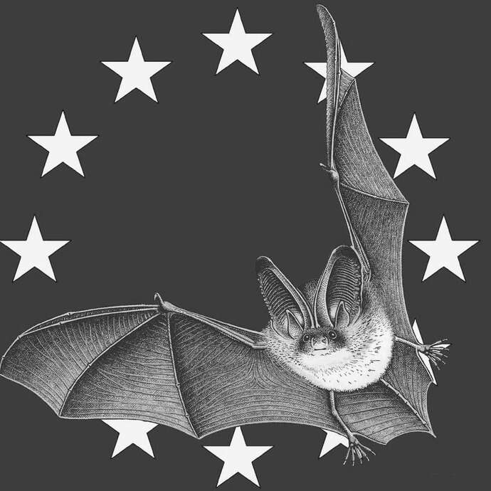 30e Nuit européenne de la Chauve-Souris - Marais de Goulaine