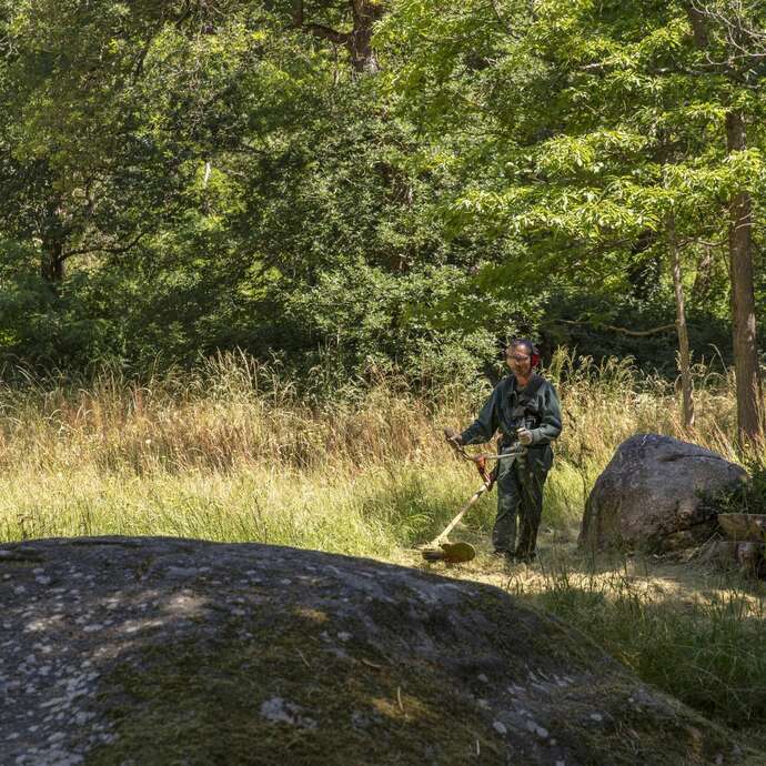 RDV aux jardins 2026 : visites, ateliers, rencontre avec les jardiniers