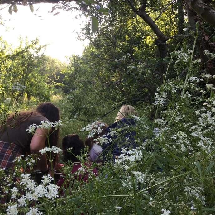 Sortie nature en famille : botanique et ornithologie