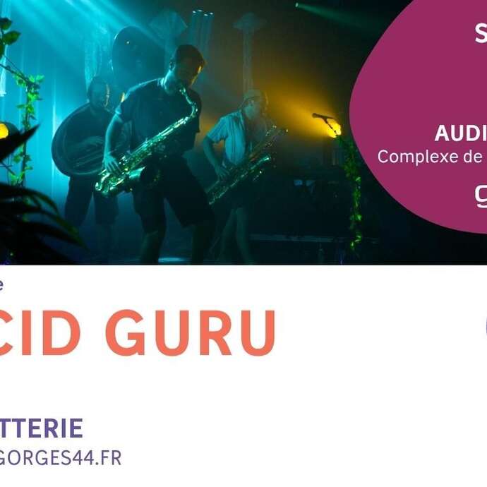 Concert Acid Guru