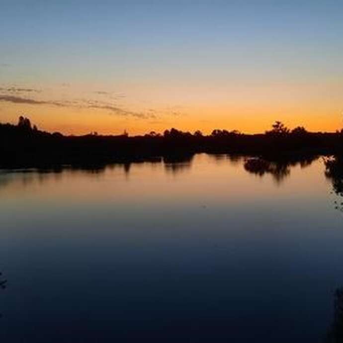 Sortie oiseaux au crépuscule au marais de Goulaine