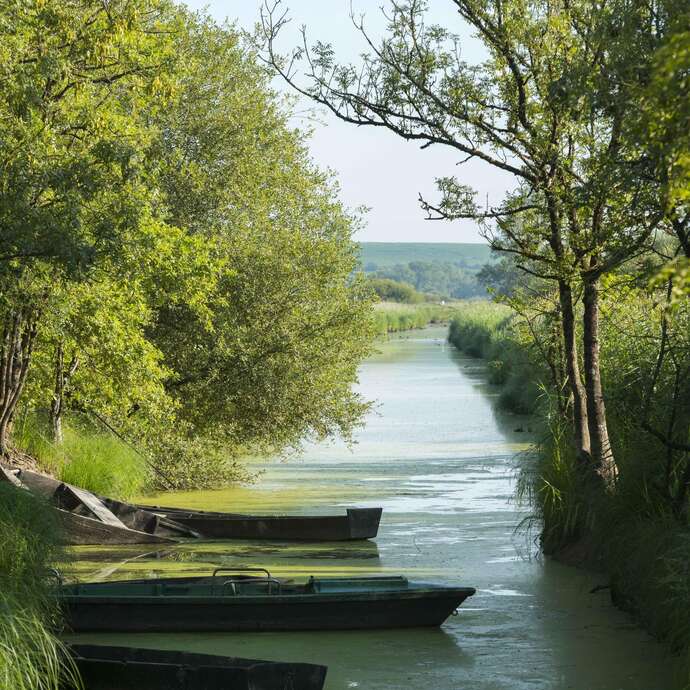 Balade guidée : le marais de Goulaine vu du haut du Montru