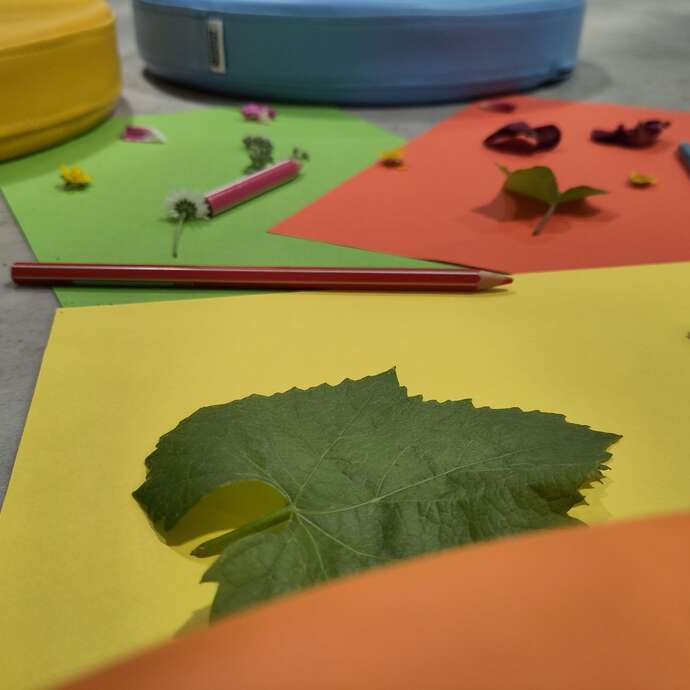Visite tout-petits au musée : « des couleurs plein les yeux »