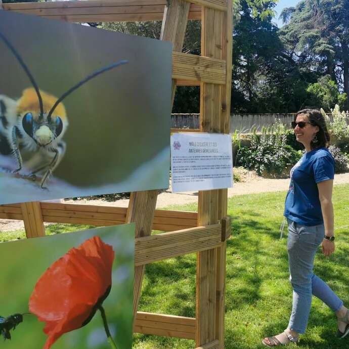 « Abeilles, précieuses sentinelles » de Patrick Trécul