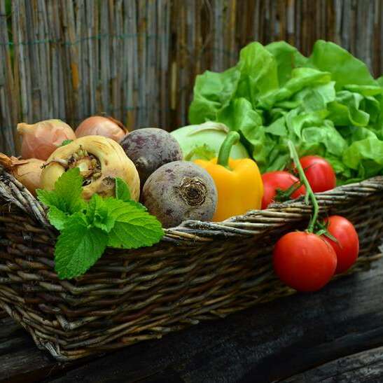Centre Fruitier Wallon