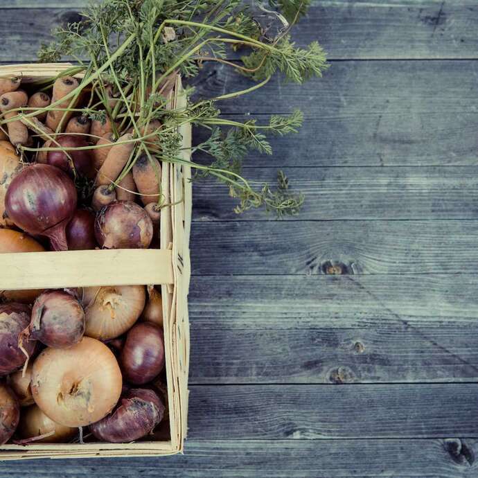 Le potager de Wasseiges