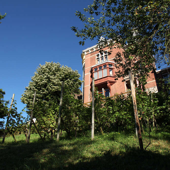 Clos du Beau Rosier
