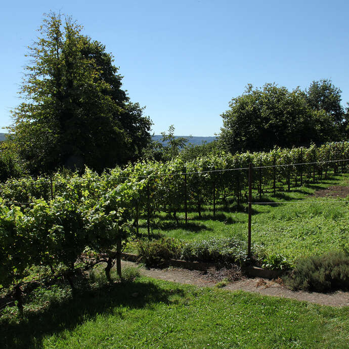 Clos des Terrasses